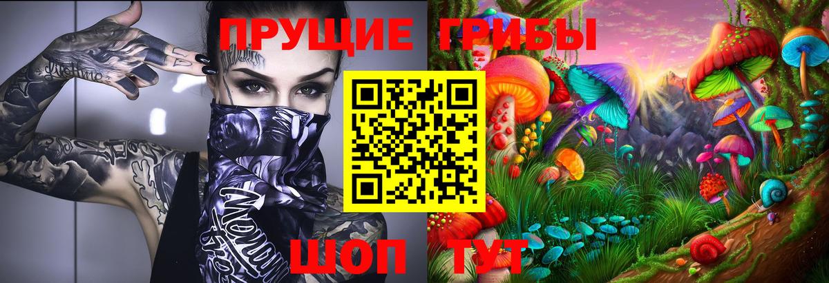 Галлюциногенные грибы MAGIC MUSHROOMS  Вход с VPN  Гулькевичи 